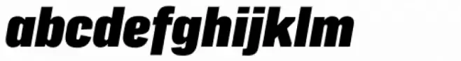 Protipo Narrow Black Italic