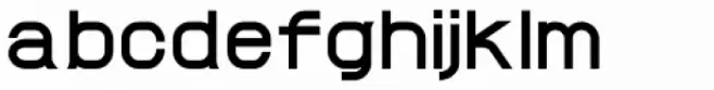 ProtoFet Bold