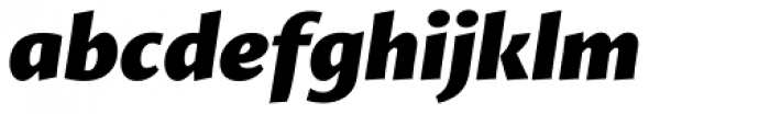 Proza Black Italic