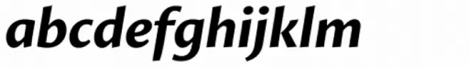 Proza Bold Italic