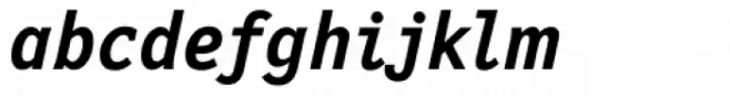 PT New Letter Gothic Bold Italic