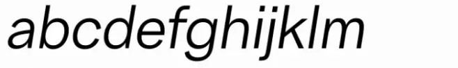 PTL Spekta Regular Oblique