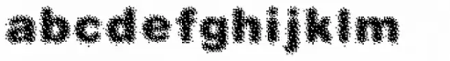 QR Type