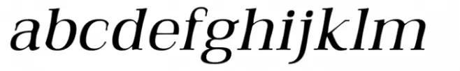 Qualitype Neo Dark Book Italic