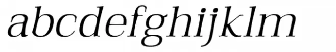 Qualitype Neo Dark Light Italic