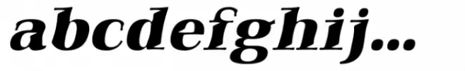Qualitype Neo Lamp Black Italic