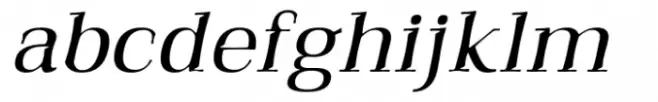 Qualitype Neo Lamp Book Italic