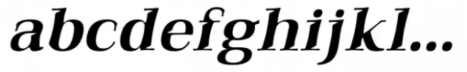 Qualitype Neo Lamp Medium Italic