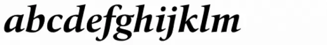 Quant Text Bold Italic