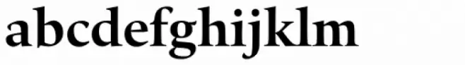 Quant Text Bold