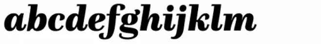 Questa Black Italic