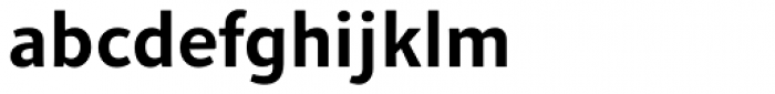 Quodlibet Sans Bold