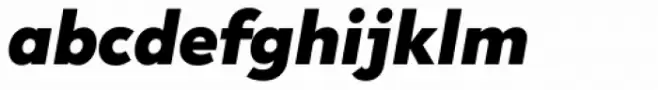 R-Flex Black Italic