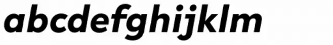 R-Flex Bold Italic