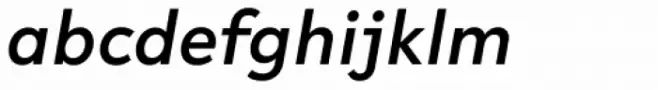 R-Flex Medium Italic