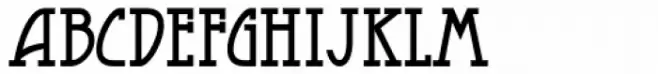 Raccoon Coat JNL