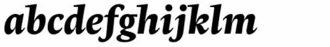 Radiata Black Italic