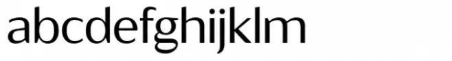 Ragik Sans Book