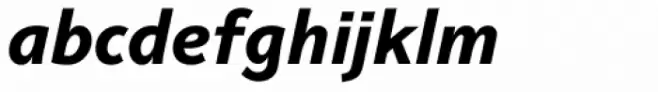 Raldo RE Black Italic