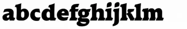 Raleigh Serial Black