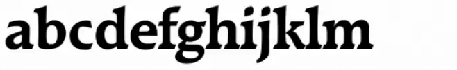 Raleigh Serial Bold