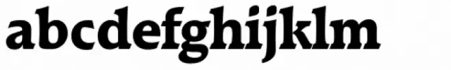 Raleigh Serial ExtraBold