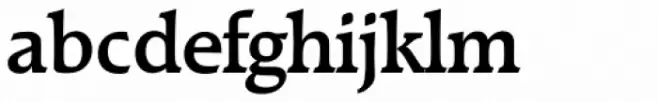 Raleigh Serial Medium