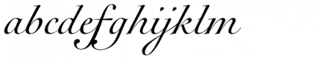 Rameau Pro Italic