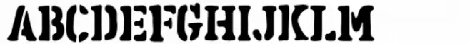 Ravager Serif 2