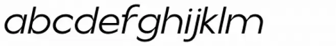 Reaktif Book Italic