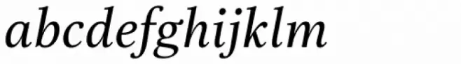 Really No 2 W2G Medium Italic