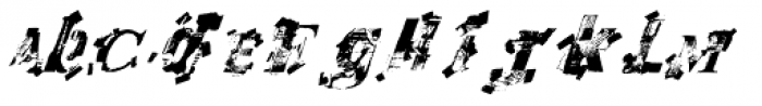 Recycled Italic