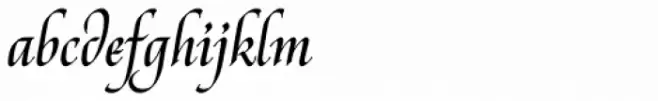 Reed Medium