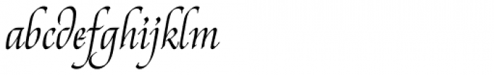 Reed Regular