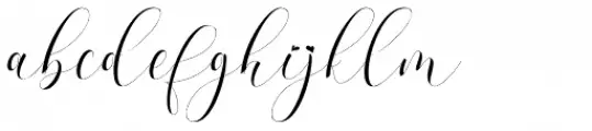 Refillia Calligraphy Regular
