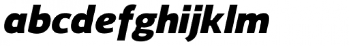 Regan Black Italic