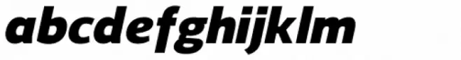 Regan Black Italic