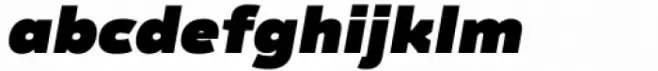 Regave Black Italic