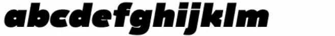 Regave Extra Black Italic