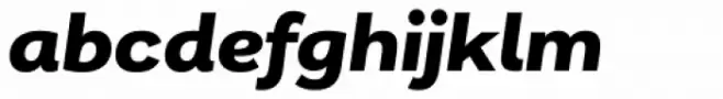 Remora Corp W3 Bold Italic