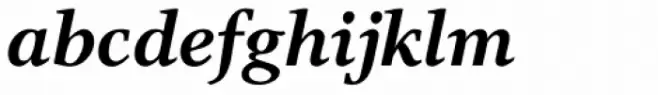 Res Publica Bold Italic