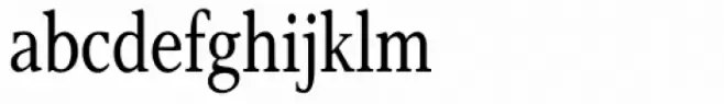 Res Publica Condensed