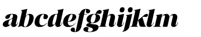 Retro Voice Black Expanded Italic