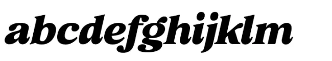 Retro Voice Black Expanded Two Italic