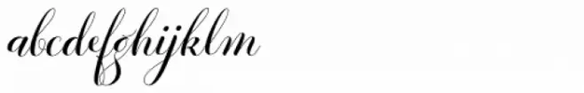 Revista Script Black