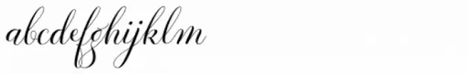 Revista Script Bold