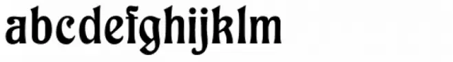 Reznicek Pro