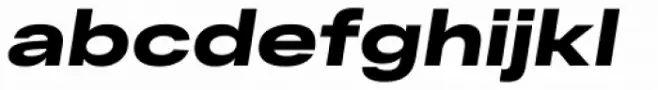 RF Dewi Expanded Black Italic