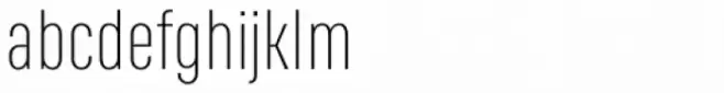 RF Rufo Thin