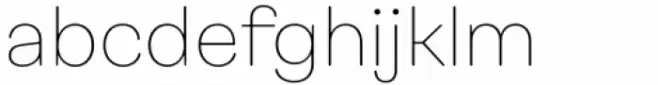 Rhein Thin